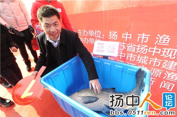 36斤重的“鱼王”被拍出8.8万元